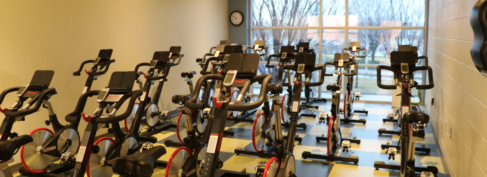 cycle studio, weinberg y